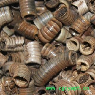 安祁名药正品优质马陆 千足虫图2