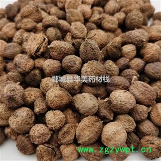 砂仁 阳春壳砂仁晒干统货 产地 云南省 华美中药 产地直销 重在品质图4