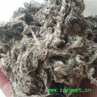 安祁名药壁钱 壁镜 壁虫 壁蟢图2