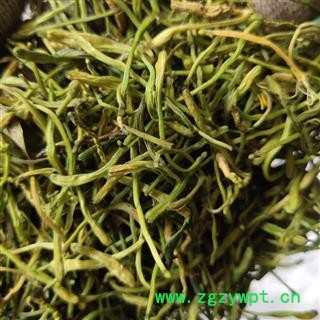 金银花 金银花青花 货 药用 批发各种中药材 花果茶 人参等 产地 山东省临沂市市辖区图2