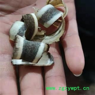 安祁名药鹿角 鹿角片  毛角片图2