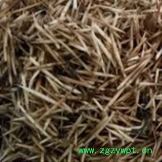 安祁名药中药材刺猬针 刺猬皮图2