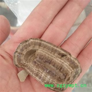 安祁名药名贵中药材马宝  马粪石  牛黄 猴枣图2