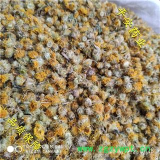 平安药业 旋复花 别称 金钱菊 夏菊 金钱花 六月菊 金沸花 伏花 金盏花图2