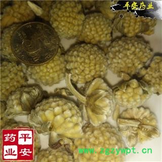 绿萝花 正品 结香 黄金葛 藤芋 石柑子 马蹄金 清三高花图2
