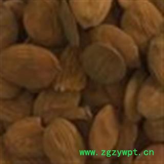 桃仁 正品家桃仁 扁桃仁 桃仁 产地 山东省图3