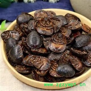 【新货精选个大】秦岭优质土元 土鳖虫 日晒无硫500g图2