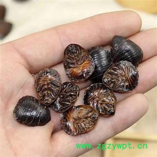 【新货精选个大】秦岭优质土元 土鳖虫 日晒无硫500g图3