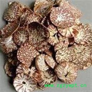 槟榔 统片  好统货 产地 四川省图2