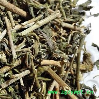 小丽百草行长春花 统 产地 广西壮族自治区图2