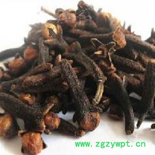 小丽百草行公丁香 香料卤料调味品 火锅底料 公丁香图2