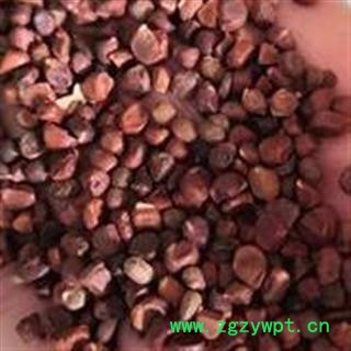 小丽百草行营实 蔷薇子 野蔷薇子 石珊瑚图2