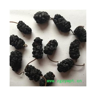 桑椹子 精选桑椹大选货 茶用 产地 安徽省