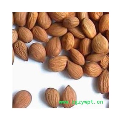 山桃仁 山桃仁统货 质量保证 产地 山西省