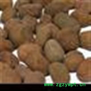 大风子 大风子统货 产地 广西壮族自治区图2