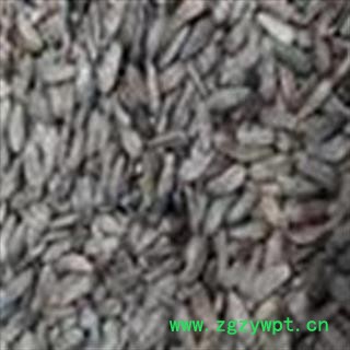 牛蒡子 牛蒡子净货  过风车货 地道药材产地 四川省图2