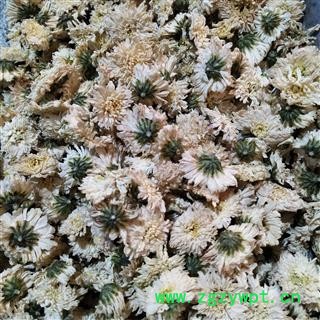 菊花 产地直销贡菊花太阳花新货颜色白干度好一袋500克 产地 安徽省图3