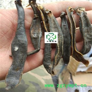 水蛭 清水吊杆 纯干 大条 小峰药业 重在品质 产地 江苏省图2
