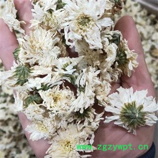 菊花 产地直销一级七月菊花，正品七月菊味道好选货无碎渣 产地 安徽省图4