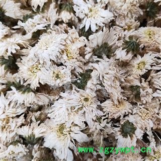 菊花 产地直销一级七月菊花，正品七月菊味道好选货无碎渣 产地 安徽省图3