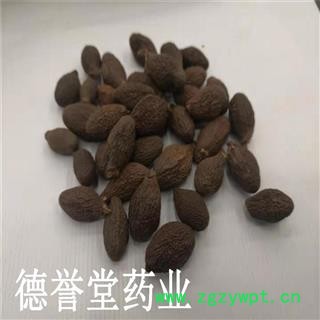 德誉堂药业 胖大海 选长果 胖大海 产地 批发各种中药材图3