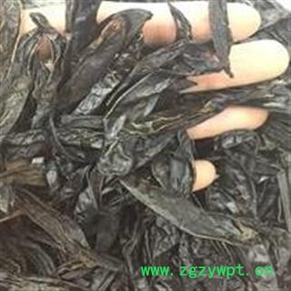 水蛭  精品柳叶水蛭清水货 黑条  假一赔十 可以验货 15天无条件退货  产地 黑龙江省图2