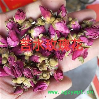 玫瑰花 甘肃苦水玫瑰王 产地 甘肃省图4