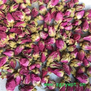 玫瑰花 甘肃苦水玫瑰王 产地 甘肃省图2