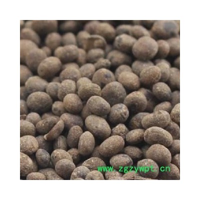 急性子 选 急性子 产地 河南省 德誉堂药业批发各种中药材