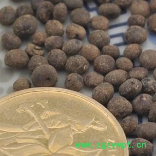 急性子 选 急性子 产地 河南省 德誉堂药业批发各种中药材图4