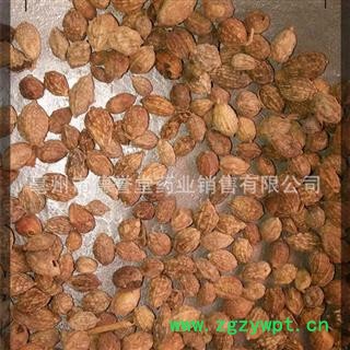 益智仁 选 益智仁 产地 海南省 德誉堂批发各种中药材图2