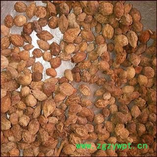 益智仁 选 益智仁 产地 海南省 德誉堂批发各种中药材图3