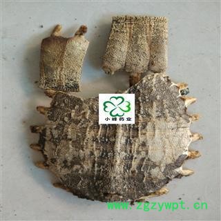 鳖甲 醋鳖甲 产地 山东省图2