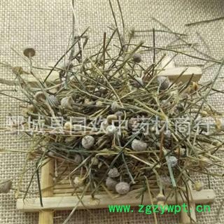 【谷精草】@【同欢药材】中药材批发供应  规格齐全 量大从优 产地 湖南省图3