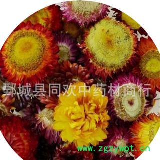 【七彩菊  菊花】@【同欢药材】中药材批发供应  规格齐全 量大从优  产地 河南省图3