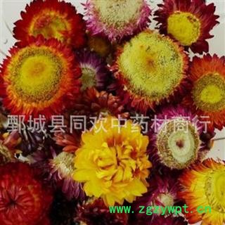【七彩菊  菊花】@【同欢药材】中药材批发供应  规格齐全 量大从优  产地 河南省图2