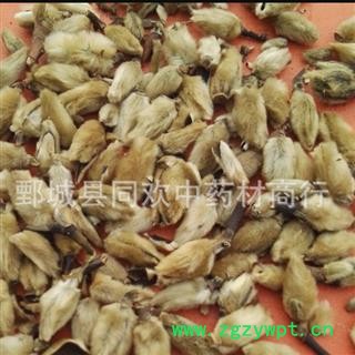 【大花辛夷花】@【同欢药材】中药材批发供应 规格齐全 量大从优 产地 河南省图2