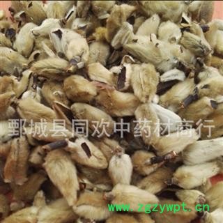 【大花辛夷花】@【同欢药材】中药材批发供应 规格齐全 量大从优 产地 河南省图3