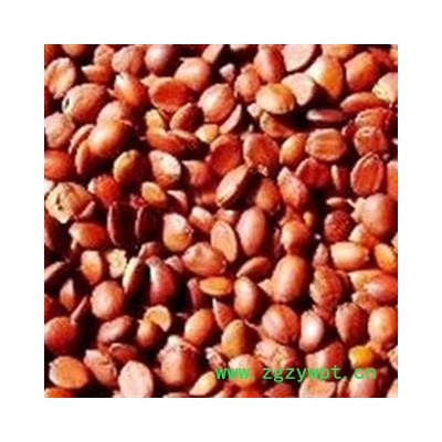 酸枣仁   理枣仁 滇枣仁 进口枣仁 产地 云南省