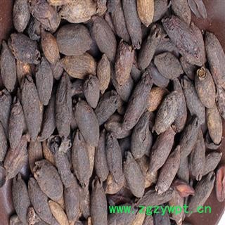 母丁香 选 质量好  价格低 产地 广西壮族自治区图2