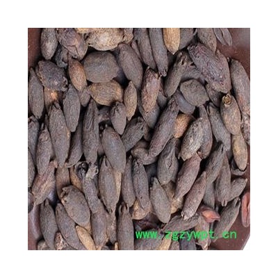 母丁香 选 质量好  价格低 产地 广西壮族自治区