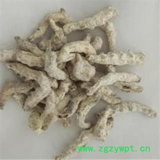 僵蚕 统货 包药检!!虫体漂亮 断面玻璃茬 低价销售 产地 广西壮族自治区图3