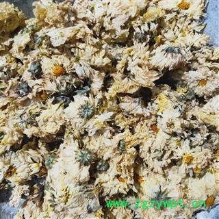 菊花 杭白菊胎菊统货 产地 浙江省图2