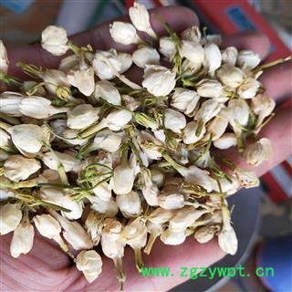 茉莉花 产地直销新货茉莉花好统货 产地 广西壮族自治区图2