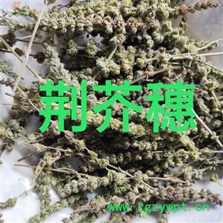 荆芥穗 荆芥穗选货 产地 河北省图4