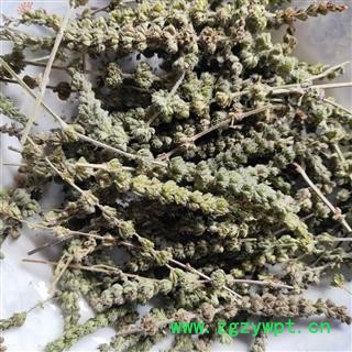 荆芥穗 荆芥穗选货 产地 河北省图2