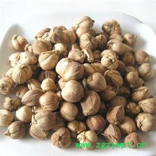 白豆蔻 选 白蔻 产地 广西 德誉堂药业批发各种中药材图4