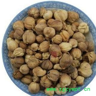 白豆蔻 选 白蔻 产地 广西 德誉堂药业批发各种中药材图3