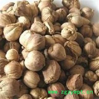 白豆蔻 选 白蔻 产地 广西 德誉堂药业批发各种中药材图2