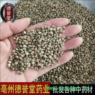 火麻仁 统 火麻仁 产地 安徽 批发各种中药材图2